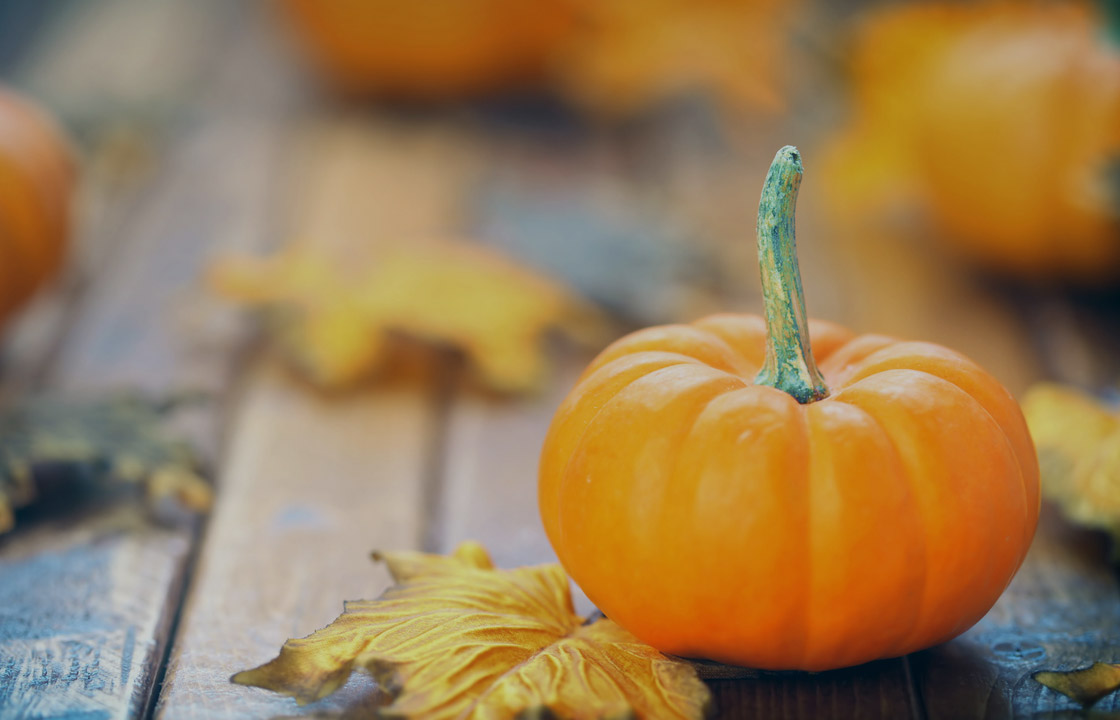 Seasonal Content Marketing Tips for Retailers